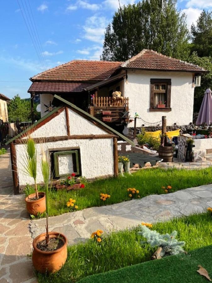 Vila Milica & Spa Aleksandra Dimitrovgrad Exterior photo