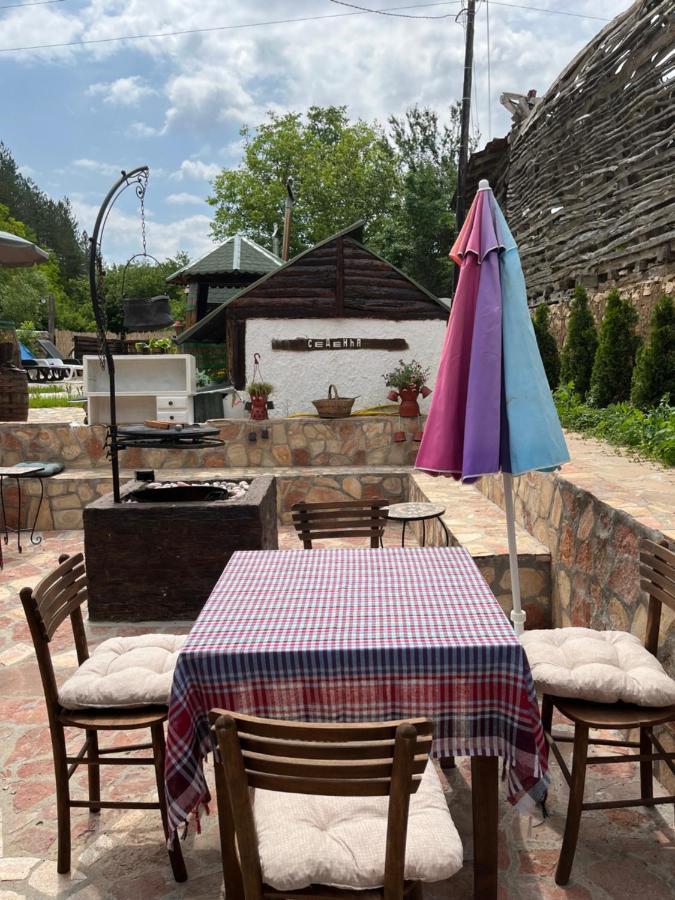 Vila Milica & Spa Aleksandra Dimitrovgrad Exterior photo